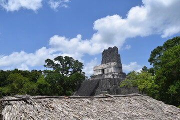 Awesome view of Tikal National Park and maya ruins in Guatemala