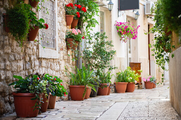Fototapeta premium A little cobbles street in a Mediterranean country