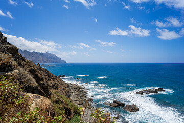 Fototapeta na wymiar Nature landscape of North Tenerife. Atlantic Ocean. Canary Islands. Spain.