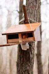 bird house on a tree