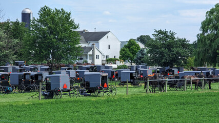A Large Group of Amish Horse and Buggies for an Event, in Lancaster, Pennsylvania on a Sunny Summer Day