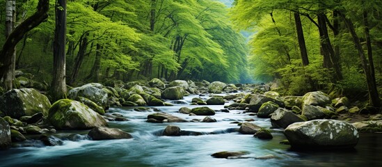 Beautiful Tropical nature rainforest river landscape. AI generated image