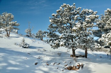 Picturesque winter scene featuring a snow-covered landscape under the blue sky
