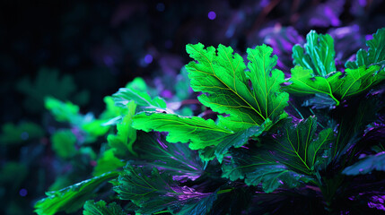 Digital glitch art of a parsley leaf, vibrant greens corrupted into pixels, juxtaposed with clean edges, post-modern, neon backlight - obrazy, fototapety, plakaty