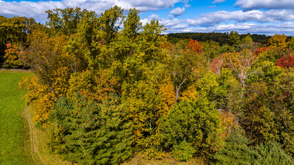 Fototapeta premium An Aerial View of a Colorful Autumn Forest on a Sunny Fall Day