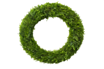 round grass frame isolated on white background ,generative ai