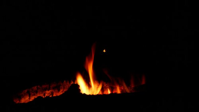 Burning branches and firewood in a fire on the ground. Close-up photography in the dark.