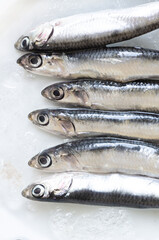 Fresh raw delicious anchovies, Turkey Black Sea small Fish Hamsi
