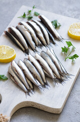Fresh raw delicious anchovies, Turkey Black Sea small Fish Hamsi