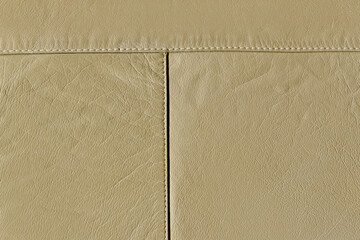 Fototapeta premium mustard yellow calf leather texture. The skin is bovine. Relief skin texture