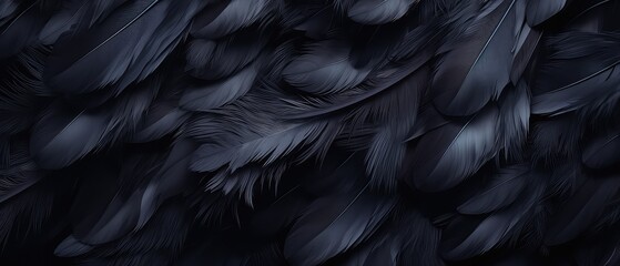 The texture of feathers, black matte , soft light ,different degree color of black ,background  - obrazy, fototapety, plakaty
