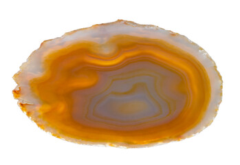 Closeup a polished slice of cut agate gem isolated on white background. Beautiful mineral cross...