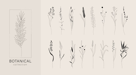 Fine line floral branch set. Vintage botanical elements, trendy doodle leaves meadow grass for minimalist tattoo. Vector design - obrazy, fototapety, plakaty
