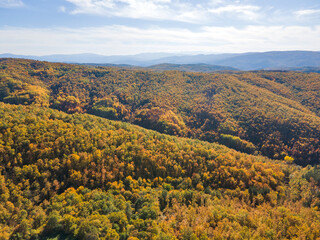 Fototapeta na wymiar Autumn view of Cherna Gora mountain, Bulgaria