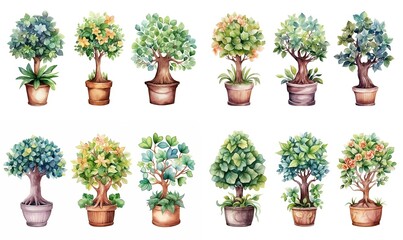 watercolor style illustration of green ficus plant flower pot plants, terracotta pot, minimal simple style, , isolated on white background, collection set, Generative Ai