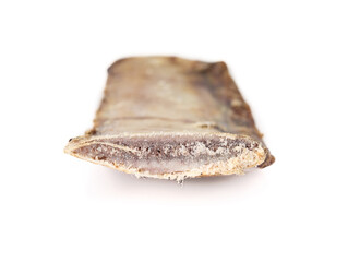 Dog beef bone for dog dental health and chew fun. Front view of center cut cattle rib for medium sized dog. Used as snack, reward and mental enrichment. Selective focus. White background.