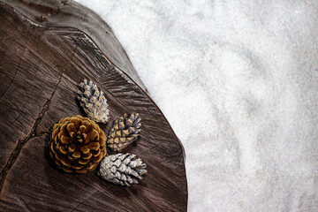 Snowy pine cones flat lay on a tree trunk with snowy ground
