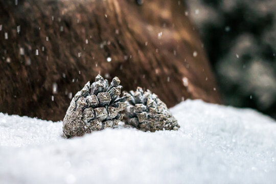 Snowy pine cones in a woodland forest with falling snow