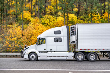 Industrial grade white big rig bonnet semi truck transporting cargo in reefer semi trailer running on the wide highway road with autumn yellow forest on the hill