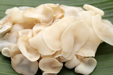 White jelly mushroom or white ear mushroom