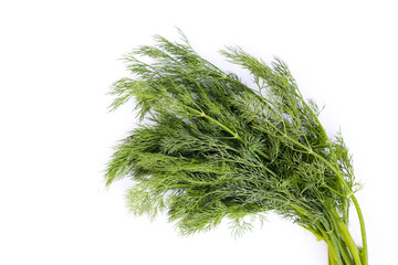 Fresh green dill on white.