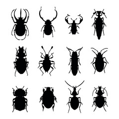 set of insects vector eps 10
