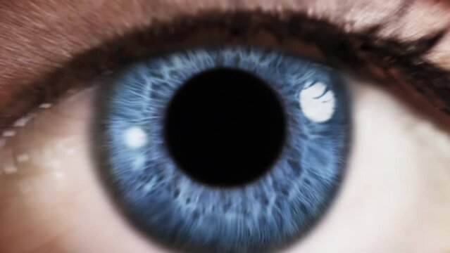 Beautiful Blue Female Eye Blinking. Zoom in to Black Background. Pupil Opening. Healthy Eyesight concept. Make up.
