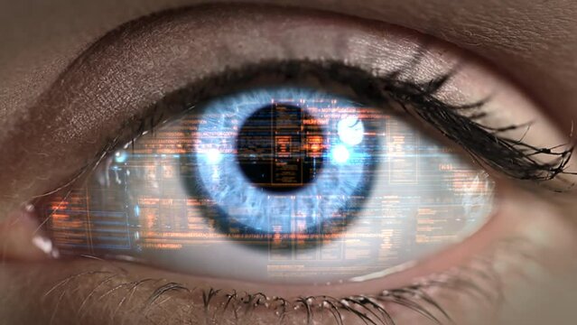 Technology Futuristic Data in Beautiful Blue Eye Close-up. Holographic Macro Shot with Technology Animations, Program Codes and Charts. Cyborg, Augmented or Virtual Reality. 