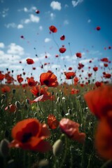 Fototapeta premium Poppy petals fly in the sky