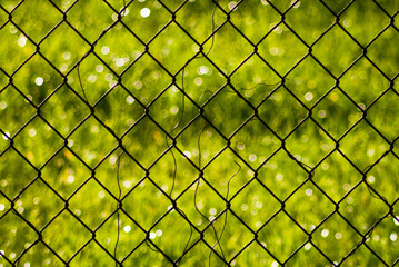 Fototapeta premium mesh netting on a green background background