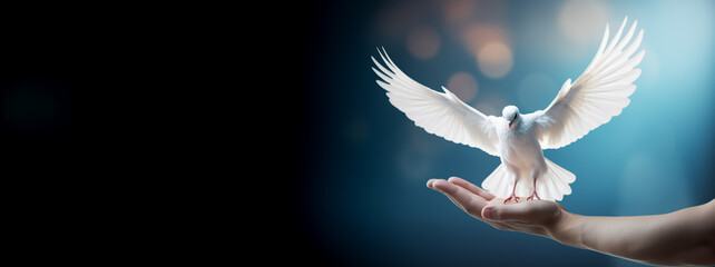 White dove on human hand, on blurred blue background. Peace symbol. Call for an end to the war.