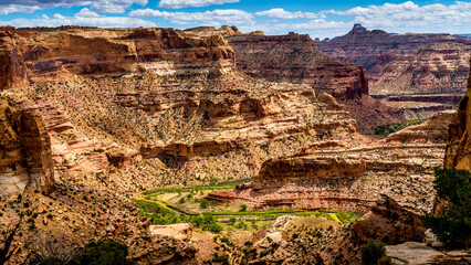 The lush shore of the San Rafael River as it flows through the Little Grand Canyon viewed from The Wedge Viewpoint in Utah, USA