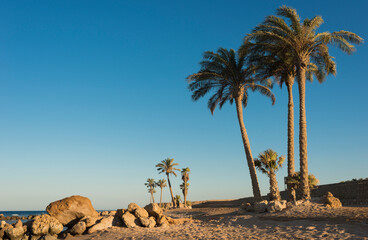 summer background with landscapes of Sahl Hashisha, Egypt. landscapes of the red sea coast in egypt...