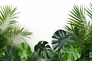 Green tropical leaves frame on white background. Summer concept. Generative AI.