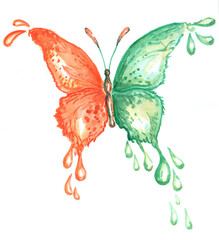 Batterfly in watercolor style