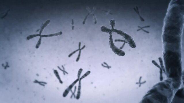
Animation of Chromosomes floating. Loopable. Encoded genetic code. DNA.
