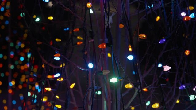 Colorful garland lights hanging on tree branches in the park at night. Slow motion. 