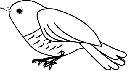 かわいいホトトギスの線画イラスト