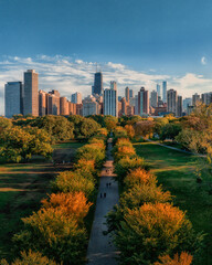 Lincoln Park Chicago during autumn aerial view - obrazy, fototapety, plakaty