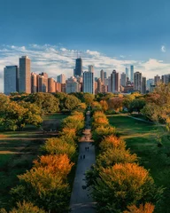 Fotobehang Lincoln Park Chicago during autumn aerial view © Ionel
