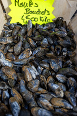 Box with fresh catch of the day on French market, english translation: mussels bouchot, means traditional aquaculture technique for mussels
