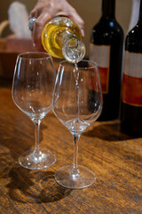 Tasting of sweet dessert Sauternes wines in old wine domain on Sauternes vineyards in Barsac village affected by Botrytis cinerea noble rot,  Bordeaux, France