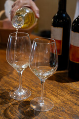 Tasting of sweet dessert Sauternes wines in old wine domain on Sauternes vineyards in Barsac village affected by Botrytis cinerea noble rot,  Bordeaux, France