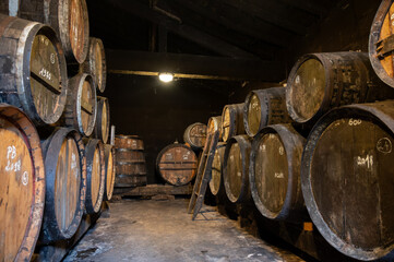 Aging process of cognac spirit in old French oak barrels in cellar in distillery in Cognac white...