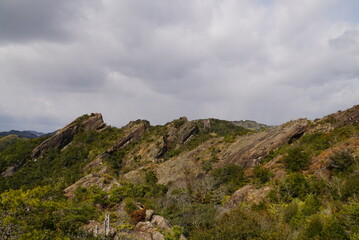 ひき岩群