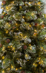 Fototapeta premium Close up on Christmas tree with light