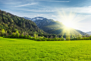 Alpine meadow in Bavarian Alps. Bavaria, Germany - obrazy, fototapety, plakaty