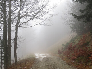 Obraz na płótnie Canvas A mysterious path through the mist