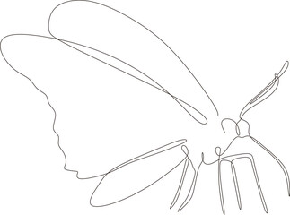 Butterfly continuous line drawing design isolated on white background for logo or decorative element. Insect shape vector illustration in trendy line style.