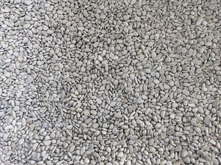 Zen stones background white, background with texture small white stone detail